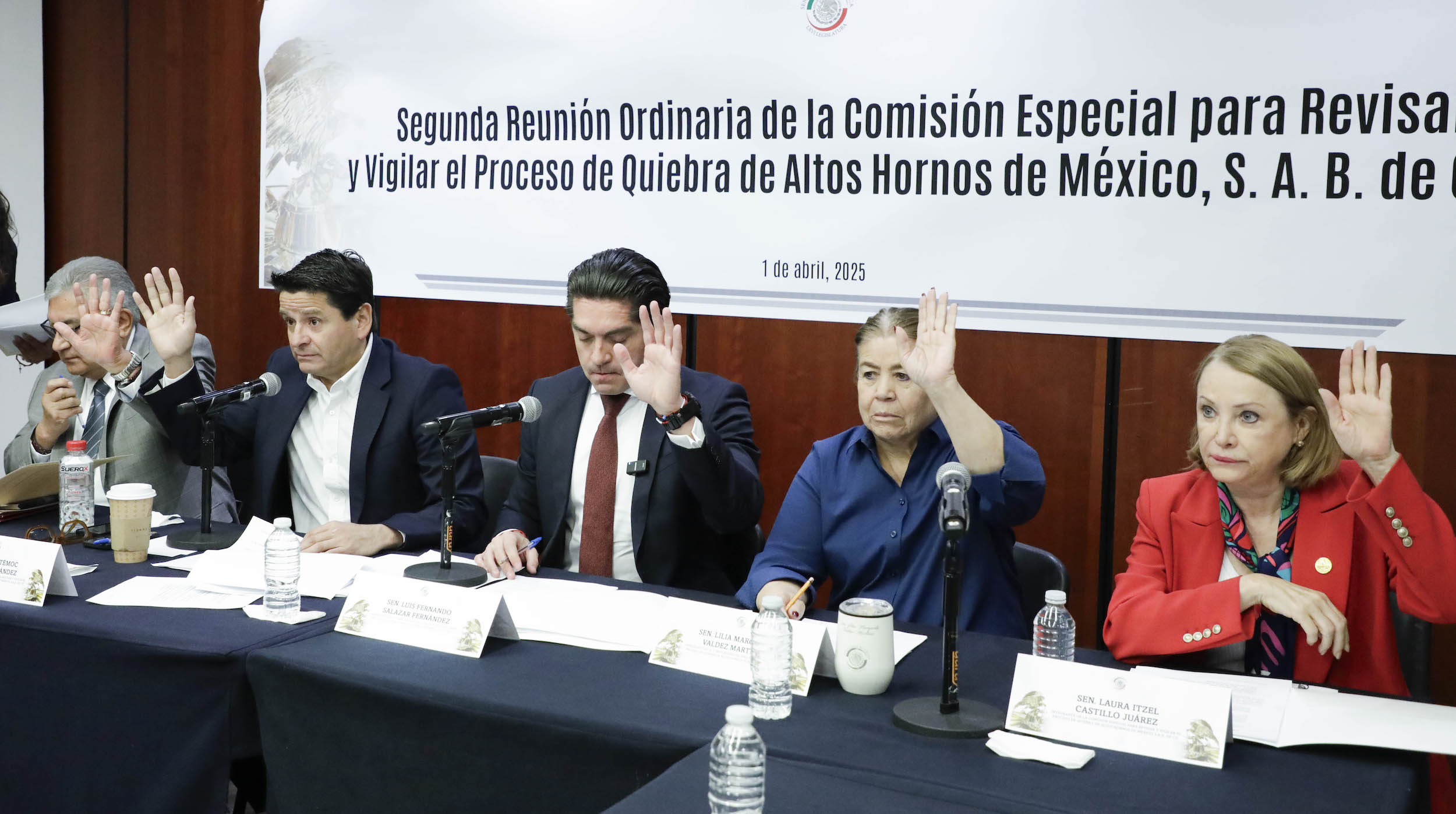 010425_Comision_Especial_para_Revisar_la_quiebra_de_Altos_Hornos_Mexico-7