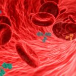 09-02-23-venas-800×445