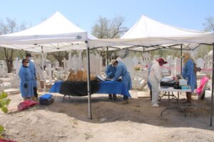 Antropólogos forenses trabajan en fosas clandestinas y centros de exterminio en Coahuila