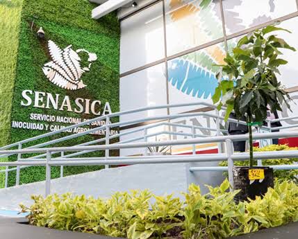 Imagen de WhatsApp 2025-04-13 a las 15.11.08_91f223fb