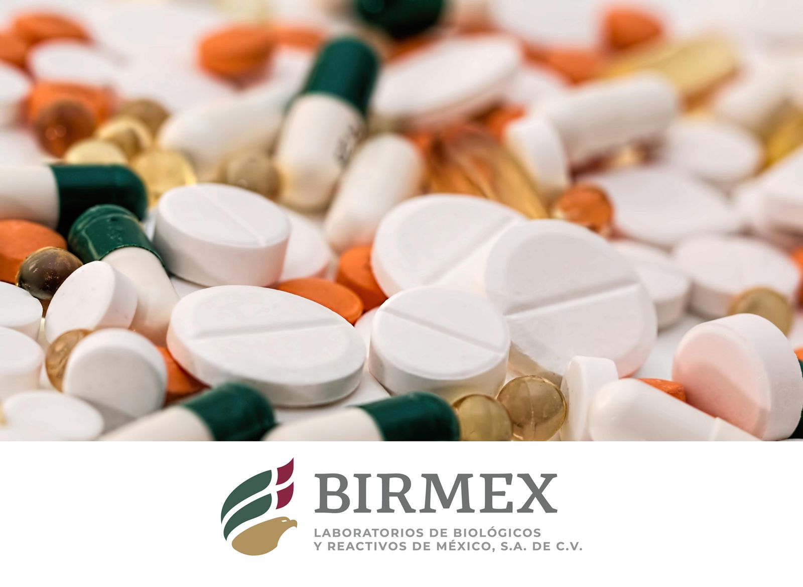 Imagen de WhatsApp 2025-04-15 a las 16.53.06_ab33d6ac