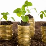 Impuesto-Verde-en-Baja-California-2