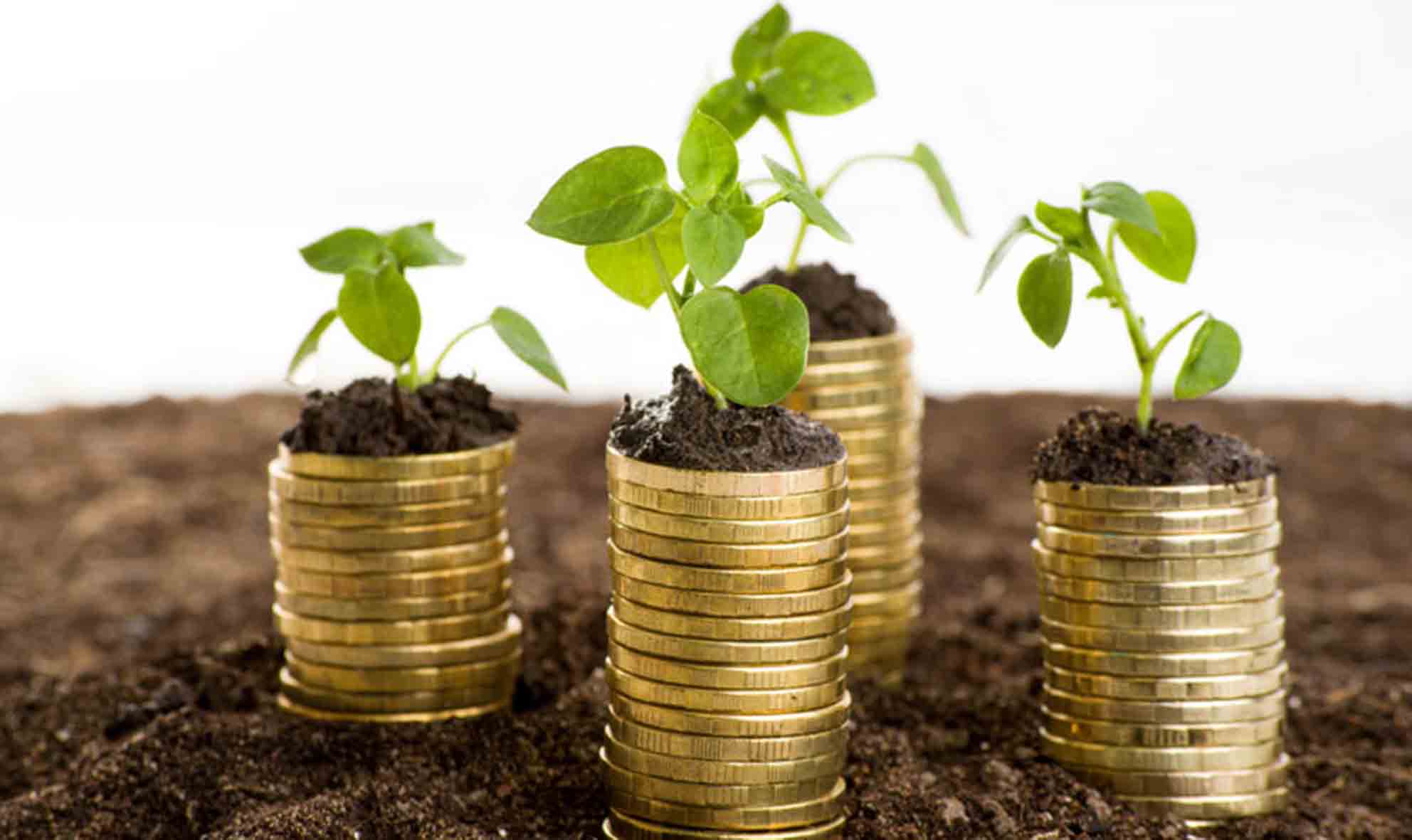 Impuesto-Verde-en-Baja-California-2