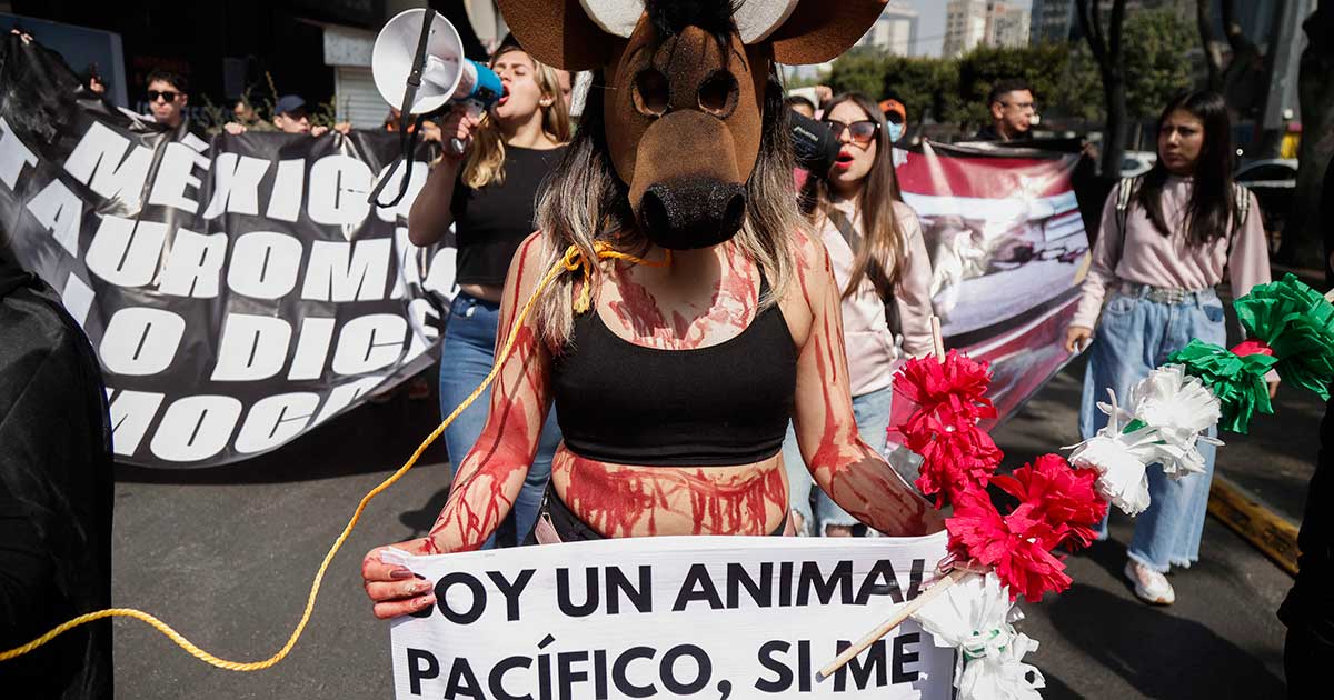 protesta-por-corridas-de-toros-en-cdmx
