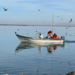 unnamed – 2025-04-07T075555.718