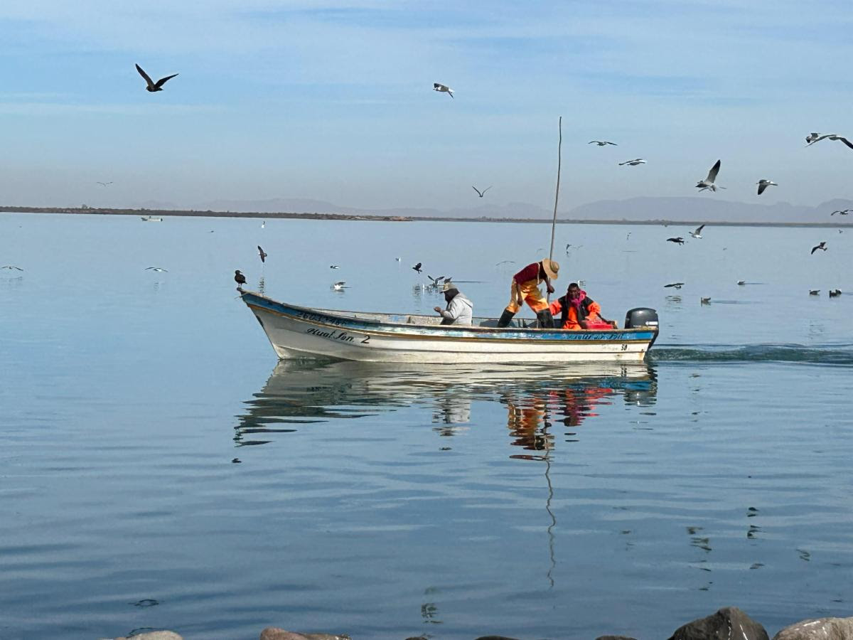 unnamed – 2025-04-07T075555.718