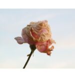 Imagen de WhatsApp 2025-05-06 a las 15.20.21_7e4e200c