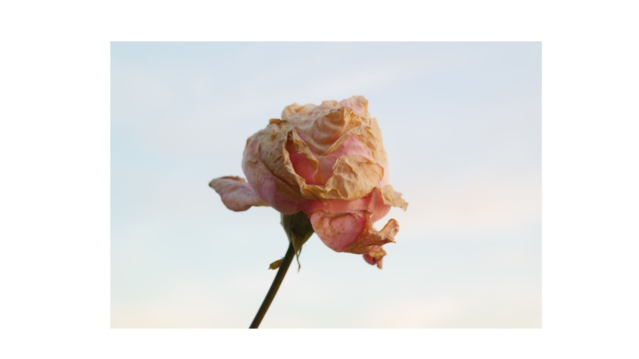 Imagen de WhatsApp 2025-05-06 a las 15.20.21_7e4e200c