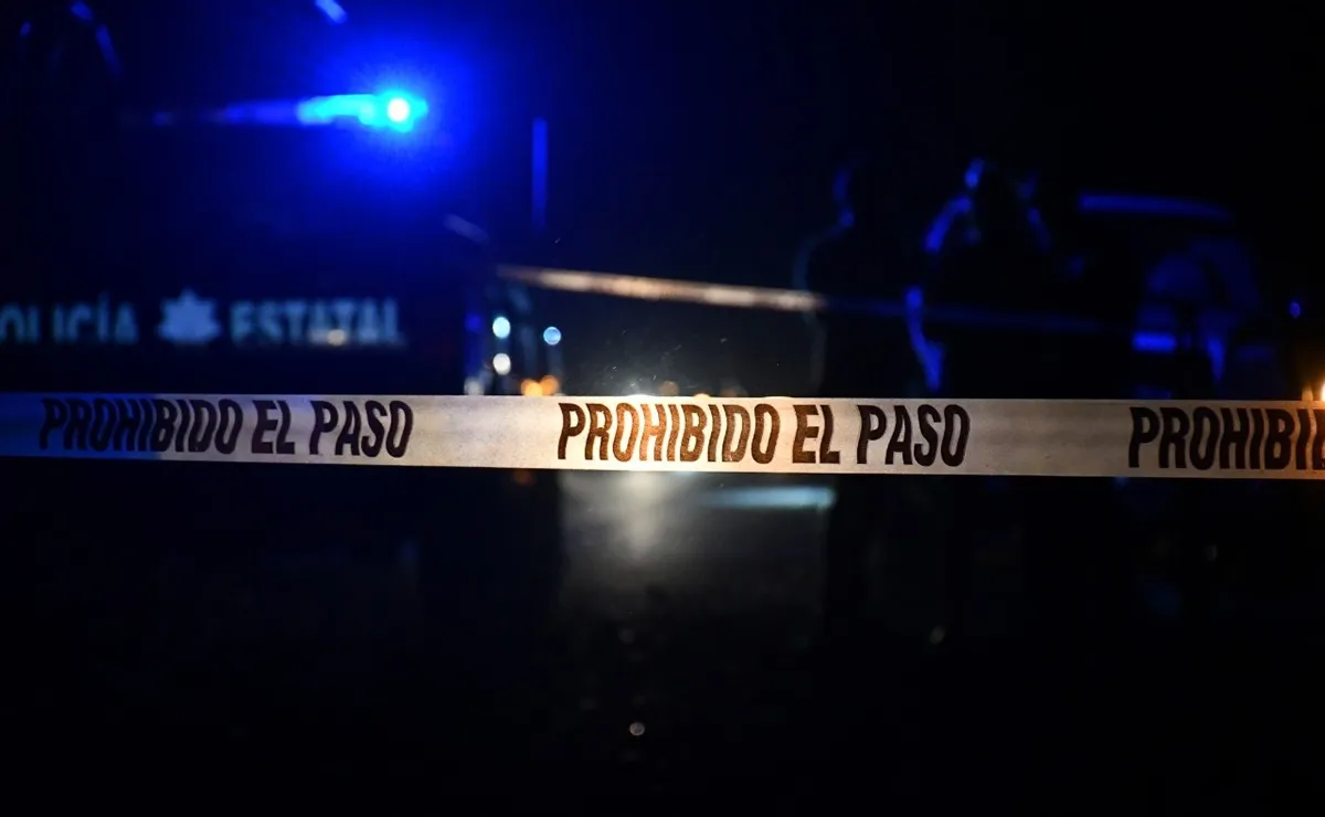 d081b27f-213f-4328-9c51-8f041901fd68