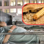 ssa_confirma_primer_caso_humano_de_miasis_por_gusano_barrenador_en_mexico