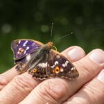 PHOTO-2025-06-18-12-19-30