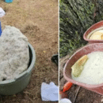 aseguran_narcolaboratorio_en_otzolotepec_edomex