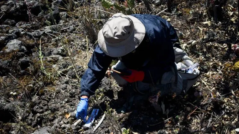 niega-sre-desapariciones-sistematicas-onu