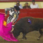 plaza-toros-mexico-ve-inviable-corridas-sin-sangre