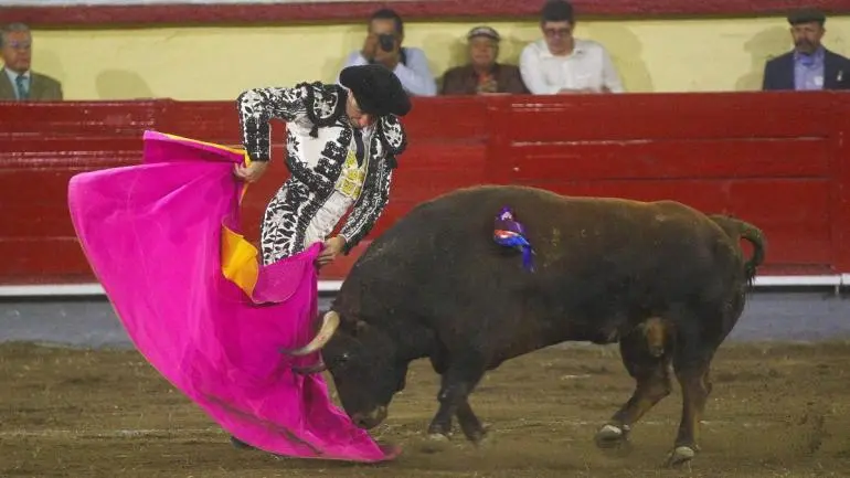 plaza-toros-mexico-ve-inviable-corridas-sin-sangre