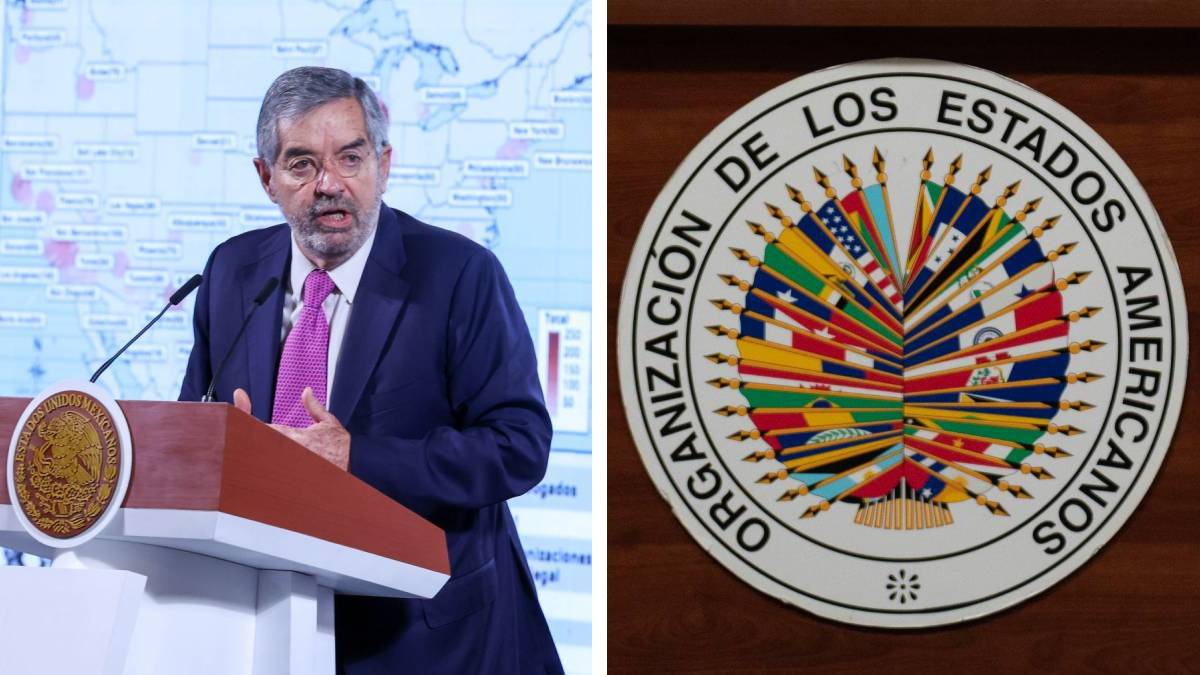 sre-en-contra-de-recomendaciones-de-la-oea-103451