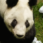 whatsapp_image_2025-06-29_at_4.32.25_pm