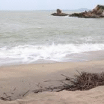 0501450d-e28f-40b2-bb5d-1298e3fbb1bb