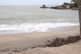 0501450d-e28f-40b2-bb5d-1298e3fbb1bb