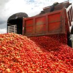 66e94b56c17c3.r_d.110-99-6857