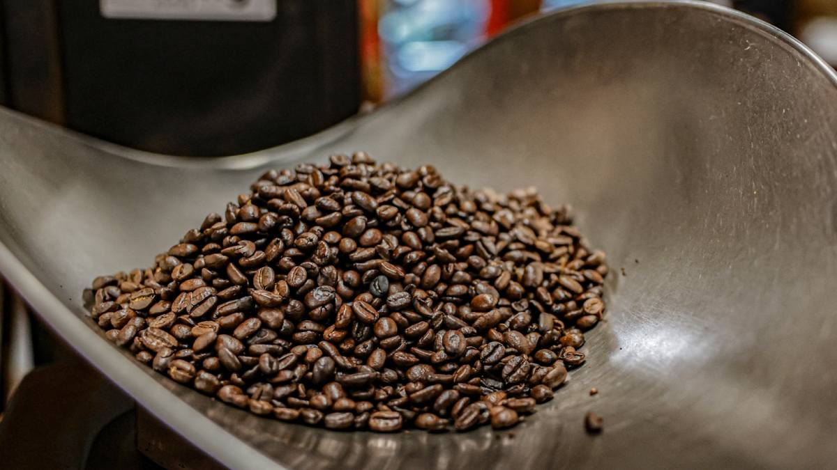 676e8edc-1223-40f6-8bc6-b6cc314625ae