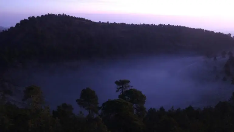 controlan_tala_ilegal_en_zona_de_topilejo