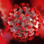 e5fffc75-31a6-4a52-85ab-538f31c55d3a