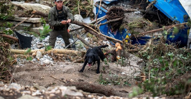 f768x400-119507_163410_5050