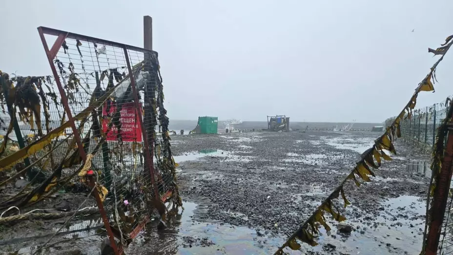 tvazteca.brightspotcdn