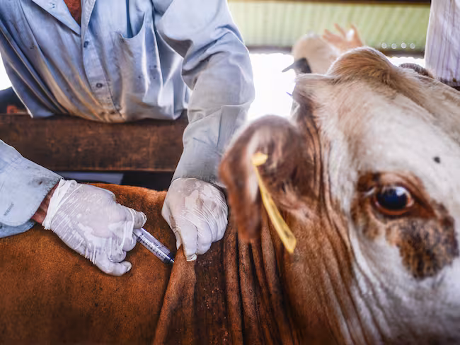 JUDBODWQZNA3FOKJVLKBRCTKSU