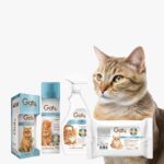 PHOTO-2025-08-01-13-42-06