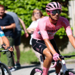 d16bea40-33e5-4239-905f-8a3e36c38e78