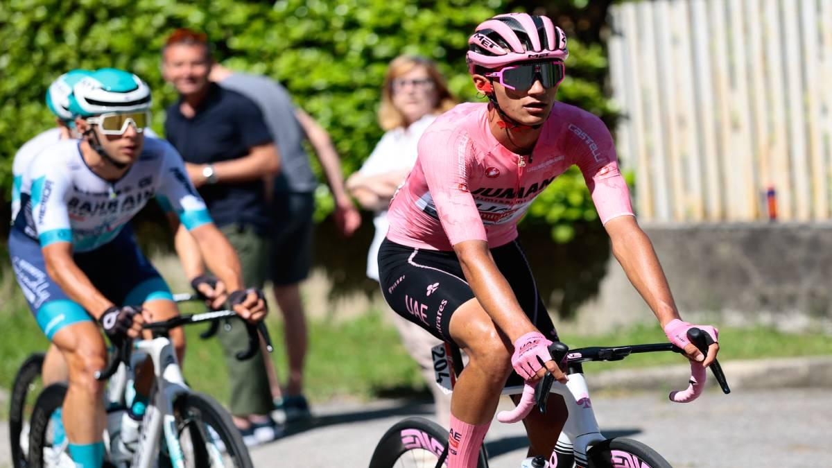 d16bea40-33e5-4239-905f-8a3e36c38e78