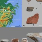 f768x400-121748_165651_5050