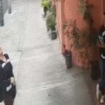 falsos_trabajadores_cuauhtemoc