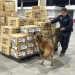 mexico-encabeza-pirateria-al