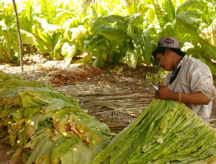 PHOTO-2025-10-13-08-39-50