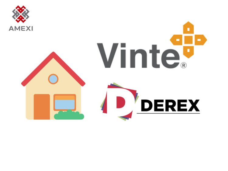Vinte-y-Derex-750×563