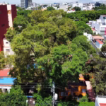 WWR2YXOH65BN3NGNNED3BJLL5M