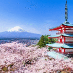 ba18af3d-d043-4f0b-9d4f-0d51c23a52c0