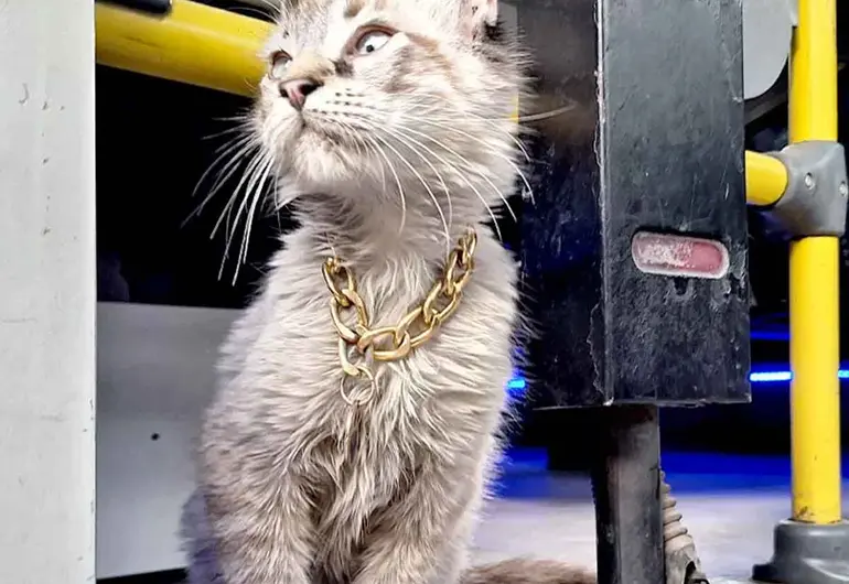 1fa0e004-0bd2-45a1-b738-ff3f6f3fa8ff