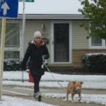 4140547b-c85f-43d4-8765-5a5846cab27f