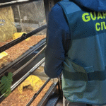 8c5851c8-f9a1-445d-8878-52b5e26a7221