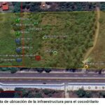 Presentan en la COP30 un modelo de convivencia entre humanos y cocodrilos para enfrentar el cambio climático en Michoacán