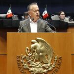 WhatsApp Image 2025-12-09 at 8.47.00 PM