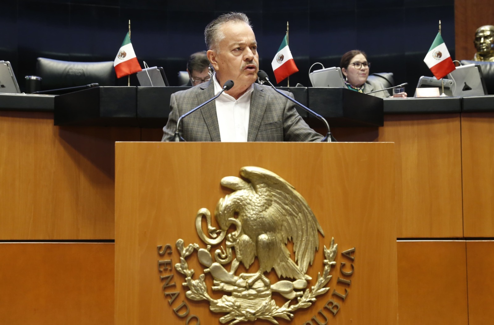 WhatsApp Image 2025-12-09 at 8.47.00 PM