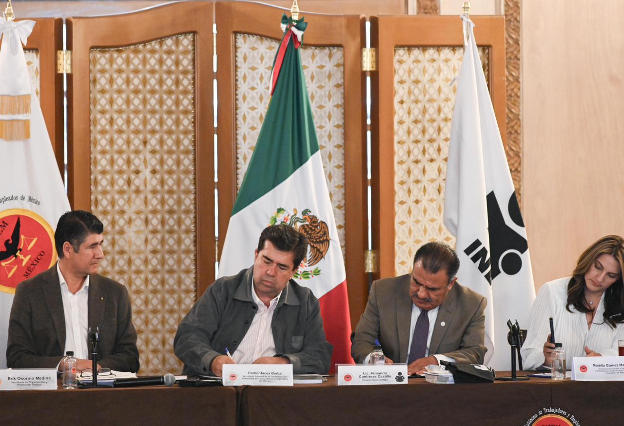 WhatsApp Image 2025-12-16 at 12.15.31 PM