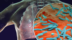 WhatsApp Image 2025-12-17 at 3.25.18 PM