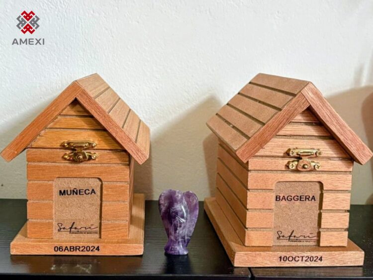 Los seguros para mascotas ganan terreno en México ante el aumento de costos veterinarios, pero sólo 4.0 por ciento tienen un seguro que los proteja. AMEXI/Foto/Adriana Urrea.