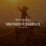 WhatsApp Image 2026-01-21 at 13.28.42 (2)